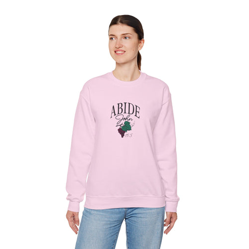 Abide in Him – John 15:5 Christian Sweatshirt