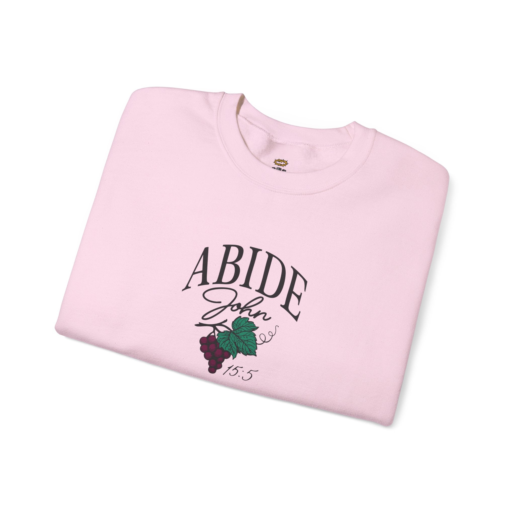 Abide in Him – John 15:5 Christian Sweatshirt