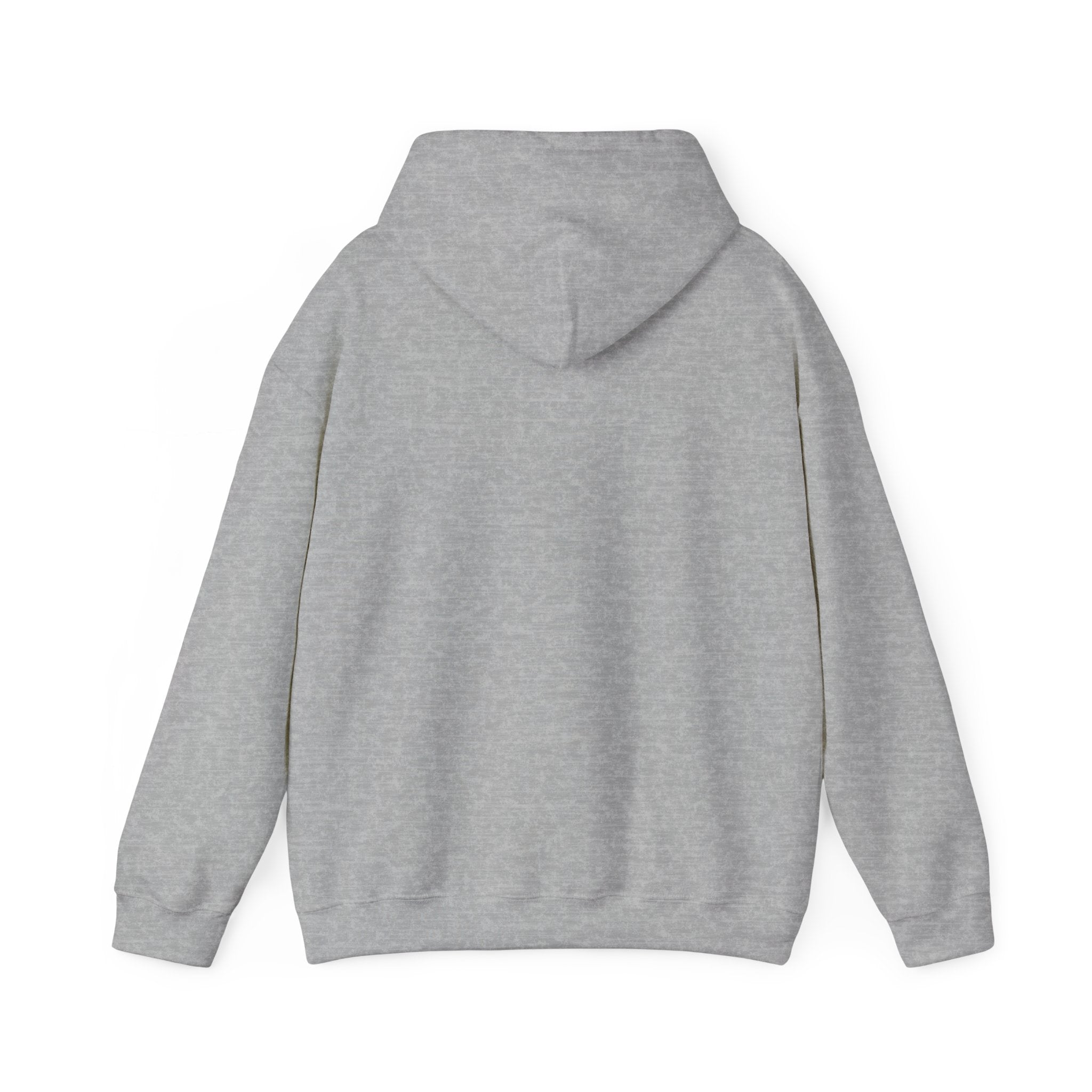 Let Your Light Shine Hoodie – Matthew 5:16 Apparel