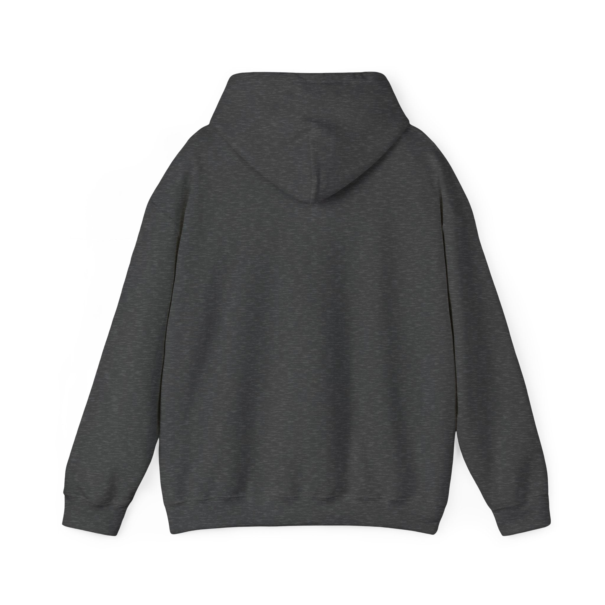 Let Your Light Shine Hoodie – Matthew 5:16 Apparel