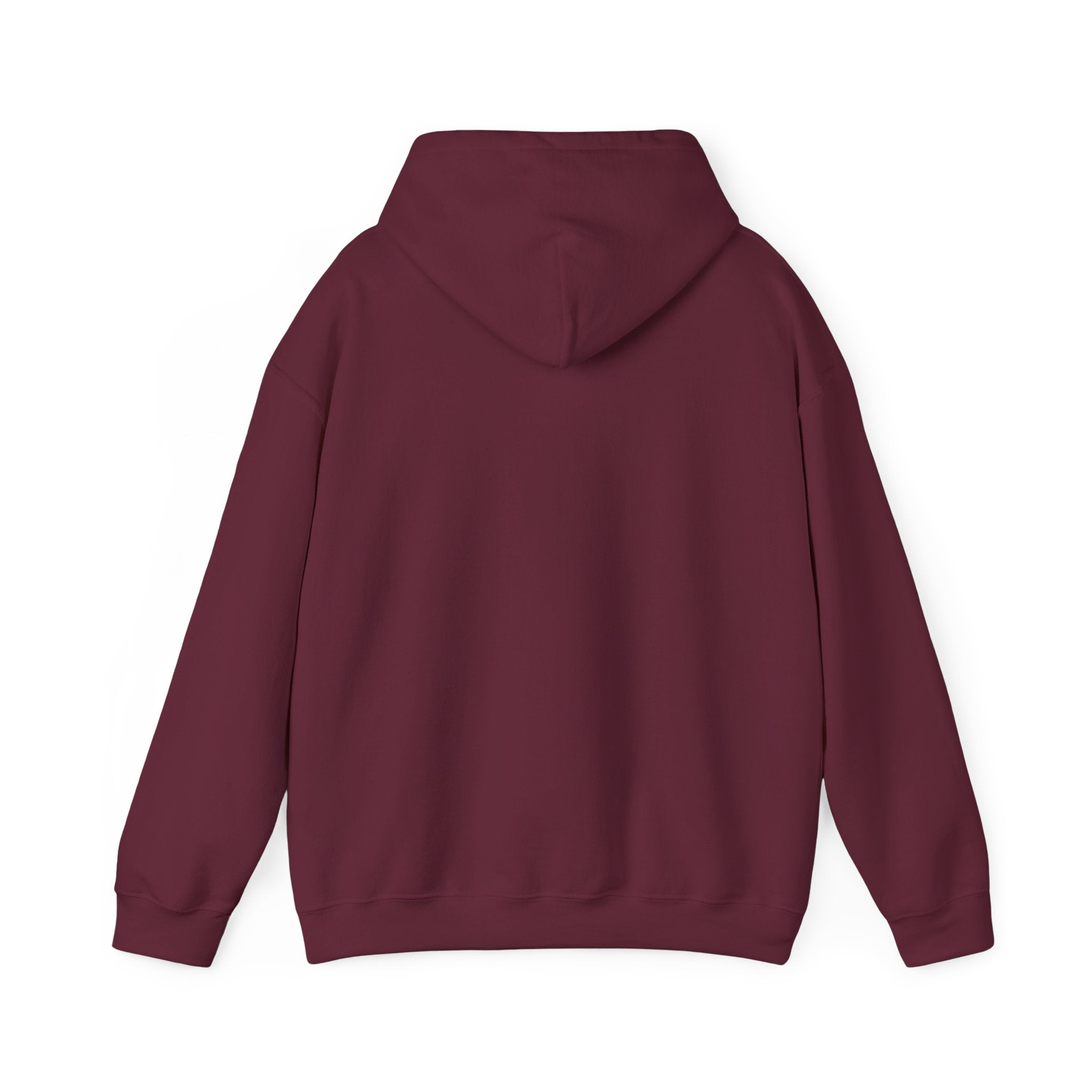 By His Wounds Hoodie – Isaiah 53:5 Faith Apparel