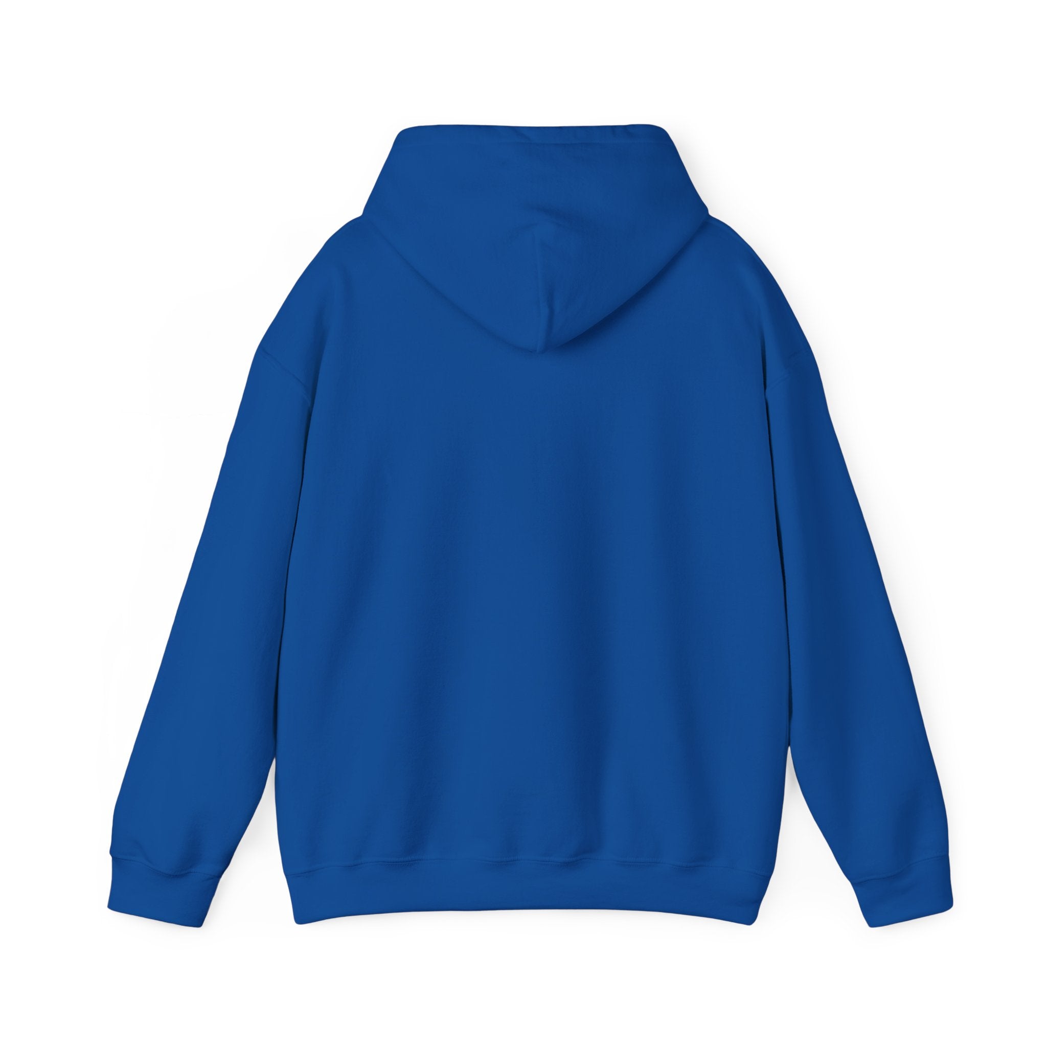 Let Your Light Shine Hoodie – Matthew 5:16 Apparel