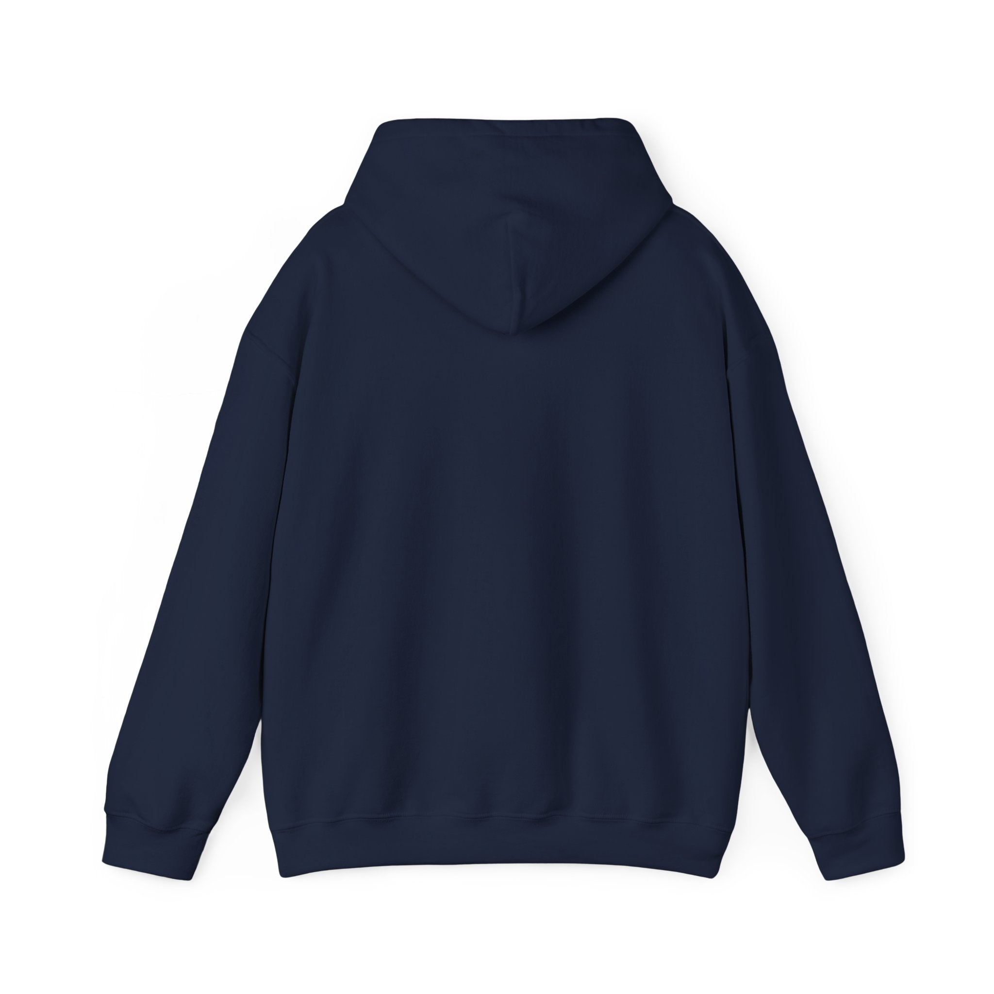 By His Wounds Hoodie – Isaiah 53:5 Faith Apparel