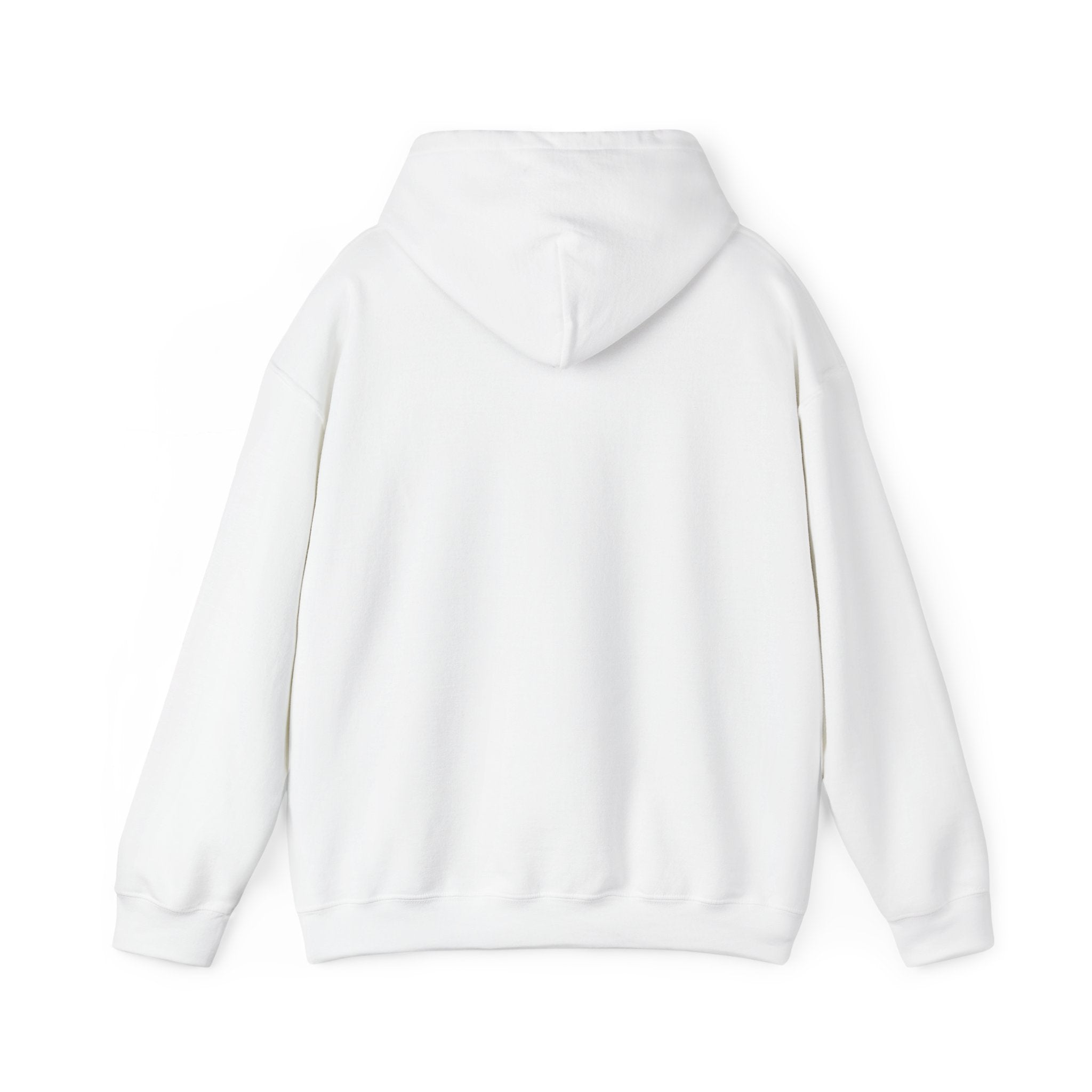 Rejoice Always Hoodie – Sunflower Christian Faith Apparel