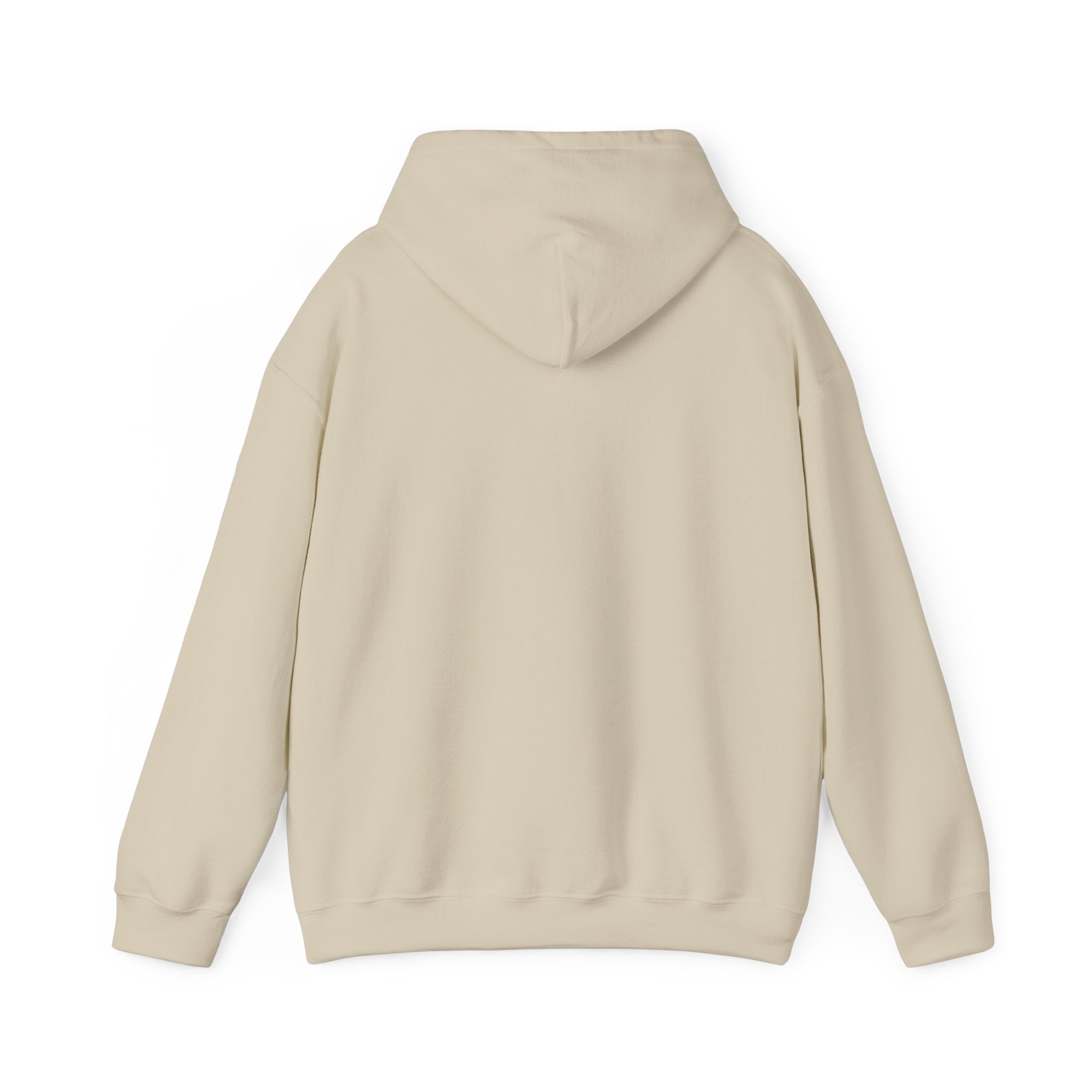 Let Your Light Shine Hoodie – Matthew 5:16 Apparel