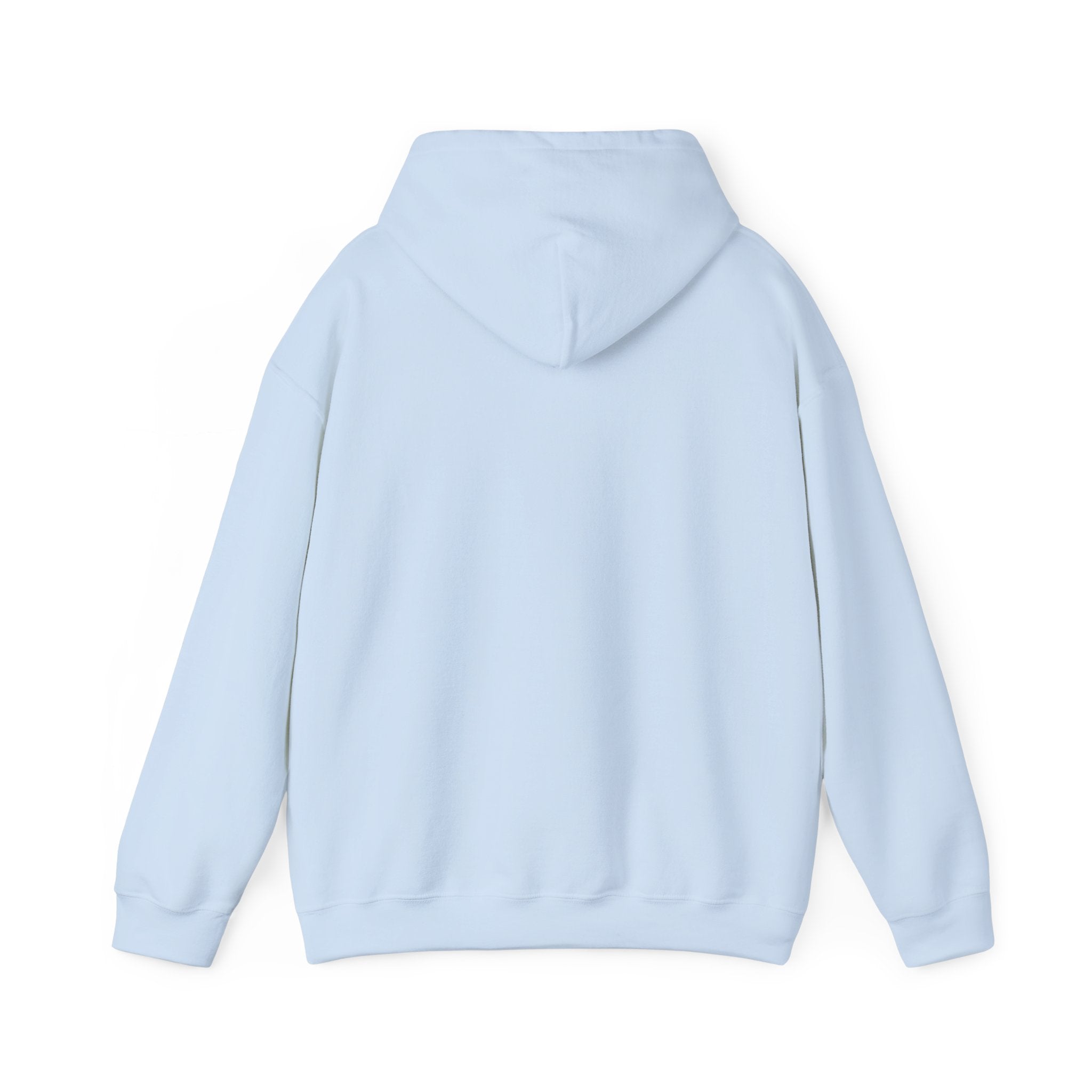 Rejoice Always Hoodie – Sunflower Christian Faith Apparel